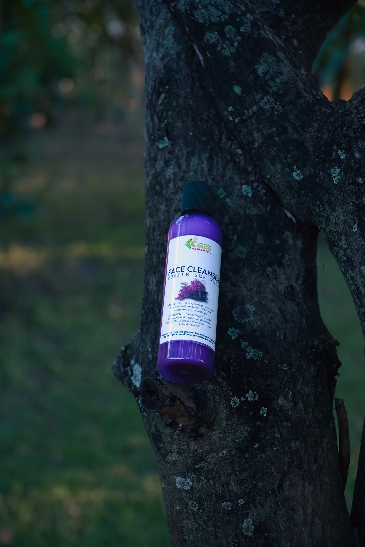 PURPLE SEA MOSS FACE CLEANSER