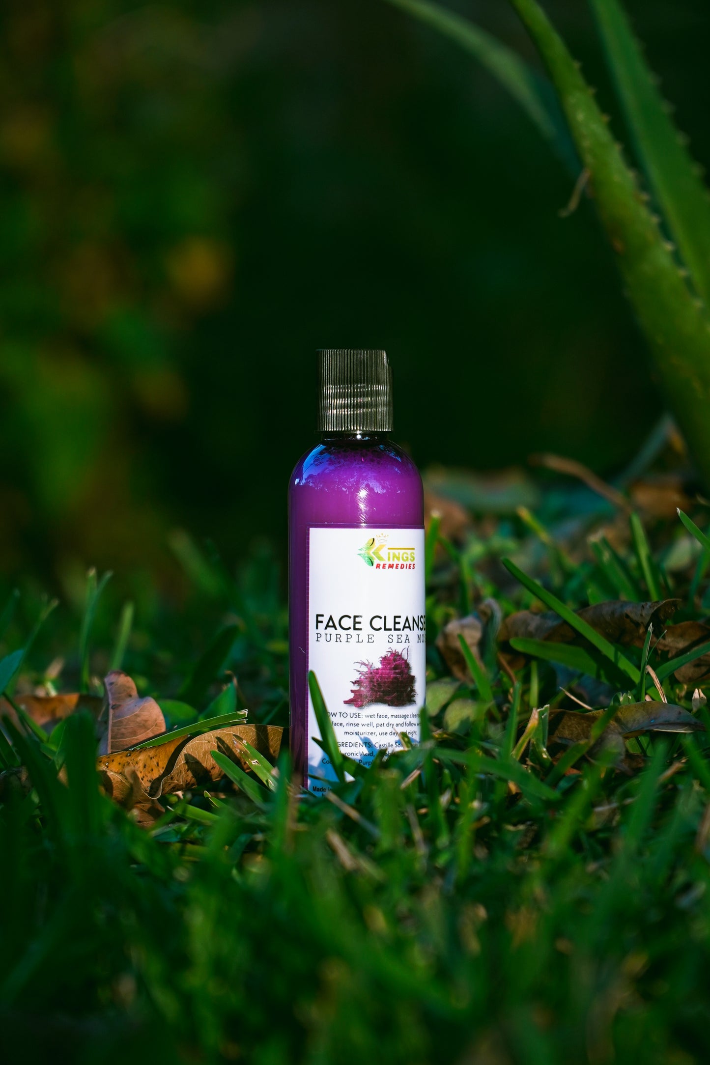 PURPLE SEA MOSS FACE CLEANSER