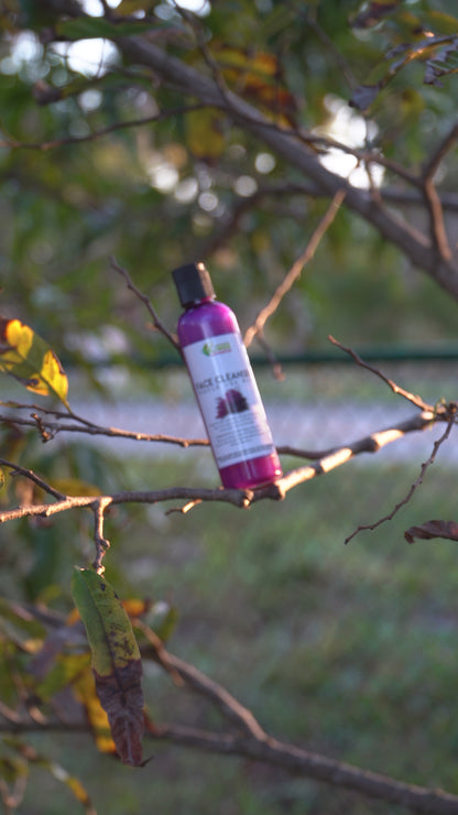 PURPLE SEA MOSS FACE CLEANSER